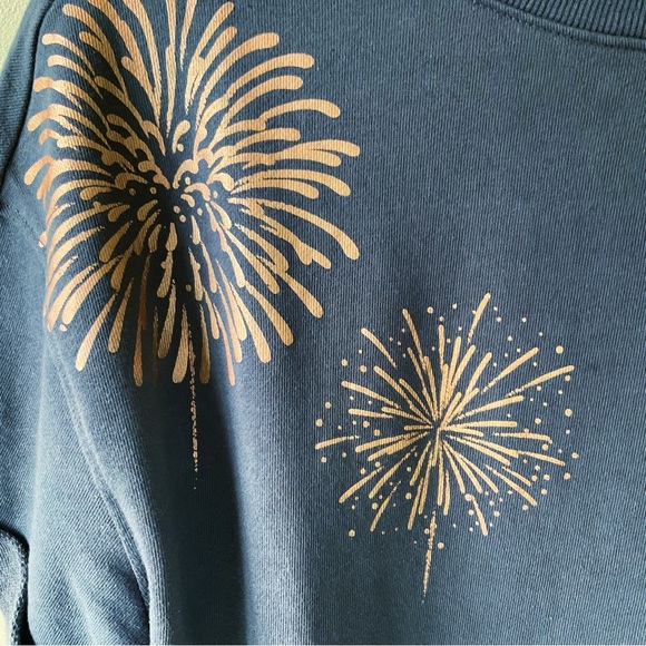 Walt Disney World 50th Anniversary Dolman Sleeve Sweatshirt Dark Grey Size L - Picture 6 of 9